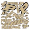 Desert Cactus Purdue University Stickers Vinyl Decals Laptop Water Bottle Car Scrapbook11.3x8.6 T1 (Type 1-1)