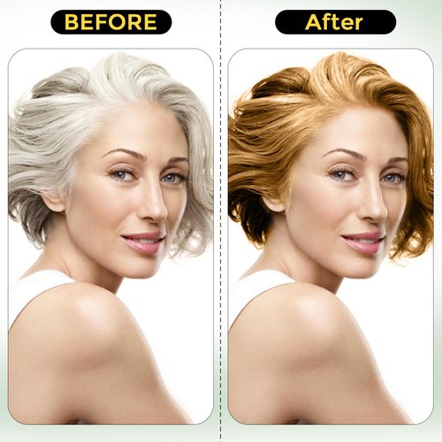 Hair Dye Shampoo 3 in 1, Herbal Shampoo Hair Dye for Women Men, Grey Coverage Shampoo 500ml (Chestnut Brown)