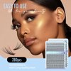 IECILI Lash Clusters Individual Lashes - 280pcs 30D Cluster lashes for DIY Lash Extensions -Super Thin & Soft Eyelashes 10-16mm D Curl Cluster Eyelash Extensions for Natural Wispy Look