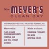 MRS. MEYER'S CLEAN DAY Liquid Hand Soap 2 Pack Variety, 12.5 OZ Each, 1 CT (Apple Cider + Fall Leaves)