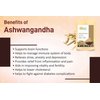 Herbs Botanica Organic Ashwagandha Root Powder Withania Somnifera Powder Ashwaganda Powder Ayurvedic Herbal Supplement Support and Strength 5.3 oz