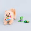 Fringe Studio Plush Dog Toy Set, Rawr-Ing Summer, Small 3 Piece Set, Pet Shop Collection (662089)