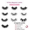 DAODER Wispy Magnetic Eyelashes Natural Magnetic Lashes Dramatic Magnetic False Eyelashes long with 4 Magnetic Eyeliner Kit 10 Various Magnetic Fake Eyelashes Strip with 6 Magnets Reusable