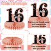 10Pcs Rose Gold Sweet 16th Birthday Decorations for Girls,16th birthday Honeycomb centerpieces for tables ，Sixteen Year Old Birthday Table Toppers Sign Decor