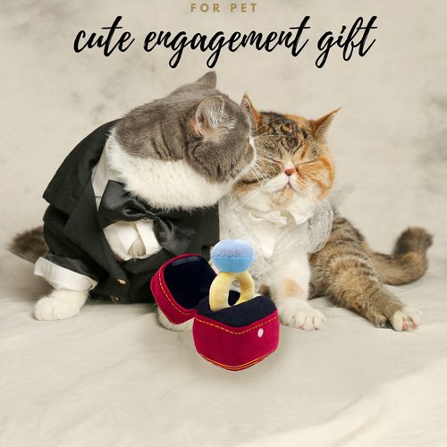 HomeSoGood Squeak Plush Toy, Interested Diamond Ring Case, Stuffed Pet Chew Soft Pet Supplies Dog Toy for Dog Wedding
