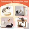 Sumind 6 Pieces Cat Feather Collar Toys Interactive Cat Feather Toy Cat Feather Wand Collar Funny Cat Stick Feather Wand Toy with Bell Replaceable Cat Collar Kitten Teaser Toy for Cat Play