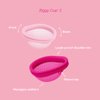 Intimina Ziggy Cup 2 - Extra-Thin Reusable Menstrual Disc, Period Cup, Disposable Menstrual Cup, with Flat-fit Design, Period Disc, Menstrual Cups Ring, Period Products (Size B)
