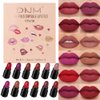 BINGBRUSH 12Pcs Mini Capsule Makeup Lipstick Set, Women Nude Brown Dark Red Matte Matt Lipsticks Cute Lip Stick Purse Set Labiales Matte Larga Duracion 24 (B-12 Pcs Mini Lipstick 02#, B)