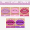 evpct 5Pcs Lavender Baby Pink Rose red Violet Plum purple Matte Liquid Lipstick Lip Stain Sets for Women Matte+Lipstick Long Lasting 24 hr Hours Magic Lipstick 24 Hours original Waterproof Set01