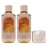 Bath & Body Works Sun Blooms & Suede - 2 pack - Shower Gel With a Himalayan Salts Springs Bar Soap.