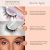 Lilly Lashes Everyday Bare it All Natural Lashes - Faux Mink Natural Eyelashes, False Eyelashes Everyday Use, Cat Eye Lashes, Individual Lashes Reusable up to 20x, No Lash Glue Included (13mm)