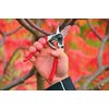 Felco Pruning Shears (F 6) - High Performance Swiss Made One-Hand Garden Pruners - 100052385