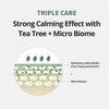FARMSTAY Tea Tree Biome Calming Toner Pad - Gentle Exfoliating Daily Face Toner Pad, Exfoliation with PHA, 140ml / 70 Pads