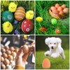 JiaUfmi 12 Pcs 2.16 Inch Rubber Bouncing Egg Brown Fake Bouncy Balls Realistic Soft Bouncing Eggs Bulk for Easter Party Favors Funny Pet Toy