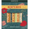 Burt’s Bees Holiday Gift, 4 Lip Balm Stocking Stuffer Products, Beeswax Bounty Assorted Set - Original Beeswax, Vanilla Bean, Cucumber Mint & Coconut Pear (Old Verison)
