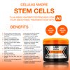 Liss Expert Professional Stem Cells Hair Care Set, Restoring Shampoo and Stem Cells Treatment with Argan Oil and Collagen, Anti-Aging and Reconstruction, 8.45 oz Shoulder Length application