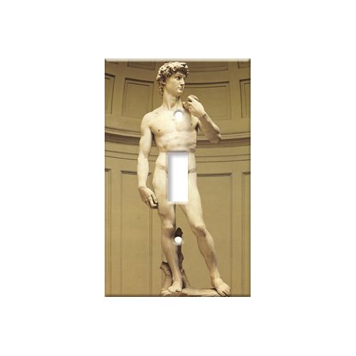 Art Plates Single Gang Toggle Switch Plate Cover - Decorative Michelangelo's David Printed Wall Plate (Made in USA)