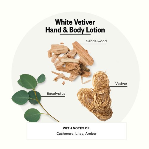 APOTHEKE Scented Hand & Body Lotion for Women & Men, White Vetiver (10 fl oz)