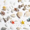 Summer Nail Art Rhinestones, 2 Boxes Tropical Ocean Nail Charms Shell Starfish Conch Sea Series 3D Beach Nail Design Accessories Manicure DIY Seashell Nail Decoration for Women Girls