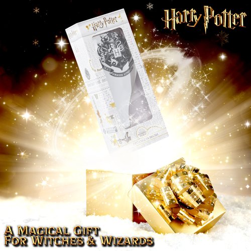 Harry Potter Gifts for Girls Hair Brush for All Hair Types Detangling Styling Women Beauty Accessories Handbag Size Official Product (Silver)