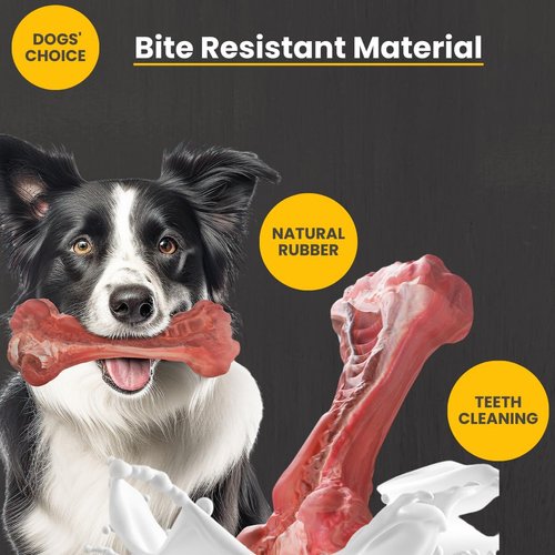 Dog Bones for Aggressive Chewers | Dog Chew Toys for Medium Dogs | Dog Clicker for Training | Kit Dog Training Clickers & Dog Whistle | Dog Bones Long Lasting | Dog Chew Bones | Dog Trainer clicker