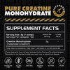 Gains in Bulk Instantized Creatine Monohydrate for Women and Men, Soluble Pre Workout Powder, Supports Muscle Building, Strength and Performance, Bodybuilding Supplements, Unflavored, 100 Servings