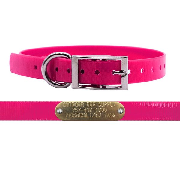 Outdoor Dog Supply's 3/4" Wide Solid D Ring Dog Collar Strap with Custom Brass Name Plate (Pink)