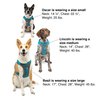 Kurgo Journey Air Dog Harness, Vest Harnesses for Dogs, Pet Hiking Harness for Running & Walking, Reflective, Padded, Includes Control Handle, No Pull Front Clip (Blue, Medium)