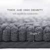 NICETOWN Grey Bathroom Rug, Extra Thick Indoor Outdoor Durable Doormat for Front Door, Anti-Slip Soft Plush Chenille Shaggy Bath Living Room Bedroom Mat, Water Absorbent Floor Carpet (1 PC, 47 x 17)