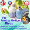 Bonka Bird Toys 1721 Round Basket Bamboo Paper Crinkle Beak Feet Hanging Forage Stuffed Shredding Foraging Pulling Colorful Parrot Parrotlet Finch