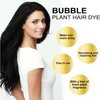 Bubble Plant Hair Dye Shampoo, Natural Plant Extract For Grey Hair Color Bubble Dye for Women Men. (Chestnut Brown)