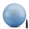 PRIMASOLE Exercise Ball for Balance Stability Fitness Workout Yoga Pilates at Home Office & Gym 45cm Pale Gray