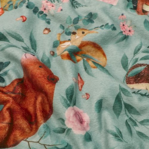 TANOFAR Baby Blankets for Boys Girls Minky Blanket with Dotted Backing Super Soft Throw Blanket for Nursery 30 x 40 Inch Woodland Animals