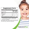 Natures Plus Animal Parade Sugar-Free Children's Vitamin D3-500 IU - Black Cherry Flavor - 90 Chewable Animal Shaped Tablets - Bone Health & Immune System Support - 90 Servings