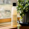 ProBliva Fungus Shampoo for Itchy Scalp and Hair Care - Helps Calm & Soothe Scalp with Natural Ingredients Emu Oil, Jojoba Oil, Coconut Oil