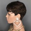 AIWEISE Pixie Cut Wig Human Hair Short Human Hair Wigs for Black Women Short Brown Wig Layered Wavy Pixie Wigs Short Glueless Wigs Natural Wavy Wig 4#