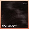 Clairol Textures & Tones Permanent Hair Dye, 1N Natural Black Hair Color, Pack of 1