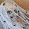 Plastic Spiders, 30Pcs Small Fake Spiders, Halloween Spiders, Realistic Mini Spider, Tiny Spiders Bulk, Black Toy Spiders, Rubber Spiders, Prank Toys, Plastic Insect Toy for Halloween Decorations