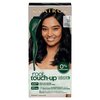 Clairol Root Touch-Up by Natural Instincts Permanent Hair Dye, 2 Black Hair Color, Pack of 1