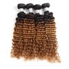 Ombre Body Wave Human Hair 4 Bundles Deep Wave Human Hair Weave 1B/30 Human Hair Extensions (18 18 18 18, T1B/30)