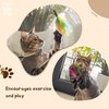 Happy Pets Shop Cat Toy Feather Wand Suction Cup - Interactive cat Toy - Automatic cat Toy - Interactive cat Toys for Indoor Cats - Cat Feather Toy Automatic - Interactive Bird Simulation Cat Toy