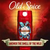 Old Spice Wild Collection Body Wash, Krakengard, 16 Fluid Ounce