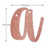 Happy Sweet 16 Banner, 16th Birthday Party Sign, Sweet Sixteen Party Supplies (Pink)
