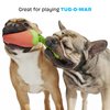 BARK Habanero Pupper Dog Toy for Medium Dogs – Built for Aggressive Chewers Who Love Tugging, Tossing, and Thrashing Fun