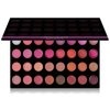 SHANY The Masterpiece 32 Color Lipstick Lip Gloss Sheer Lip Palette - THAT FIRST KISS