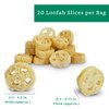 All Natural Loofah Slices for Soap Making (20 Pack) - Real Loofah Slices Cuts - Organic Loofah Bulk - Natural Loofah Sponge - Soap Making Supplies - Natural Luffa Organic Soap Making