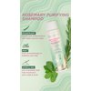 Pacifica Clarifying Shampoo – Rosemary Purify Invigorating Shampoo w/Soothing Mint for Detoxing Hair & Scalp Build-Up, Sulfate & Silicone Free - Vegan & Cruelty-Free Dermatologist Tested