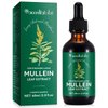 QJCWXIAOX Mullein Drops for Lungs, Mullein Leaf Extract with Chlorophyll,Mullein Leaf Extract for Lung Cleanse and Respiratory Support