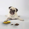 Thilife Interactive Dog Treat Dispenser Toy for Aggressive chewers, Boredom Relief, Enrichment and Brain Stimulation | Cleans Teeth for Dogs, Puppies and Cats | Indestructible, Durable (Banana)