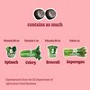 8Greens Supergreens Gummies | Super Greens Powder Superfood Gummy for Metabolism, Immunity & Focus, Digestive Health Enzymes, Organic: Chlorella, Spirulina, Aloe Vera, Apple Flavor, 100 Count